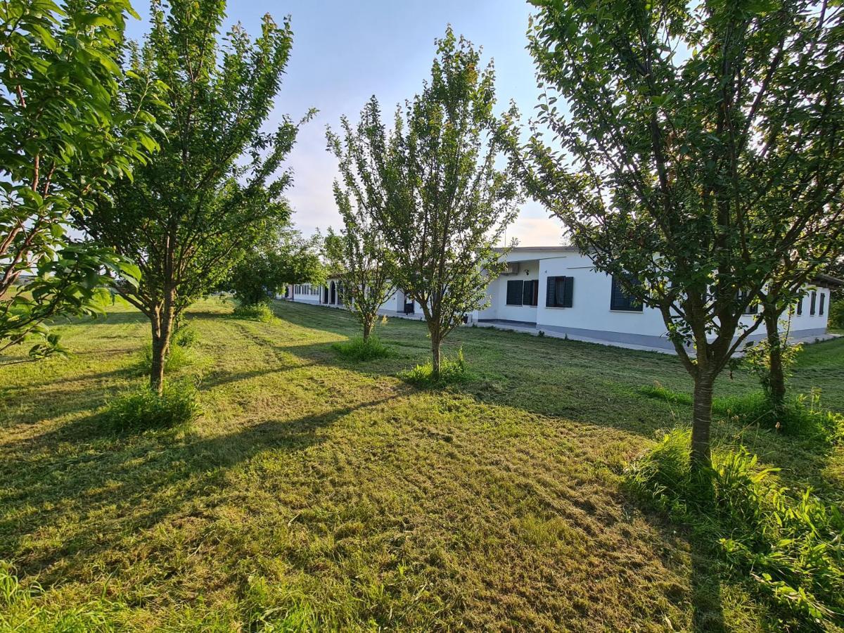 Agriturismo Ca Novak Venezia Spinea Luaran gambar
