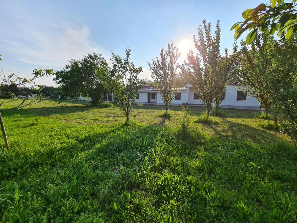 Agriturismo Ca Novak Venezia Spinea Luaran gambar